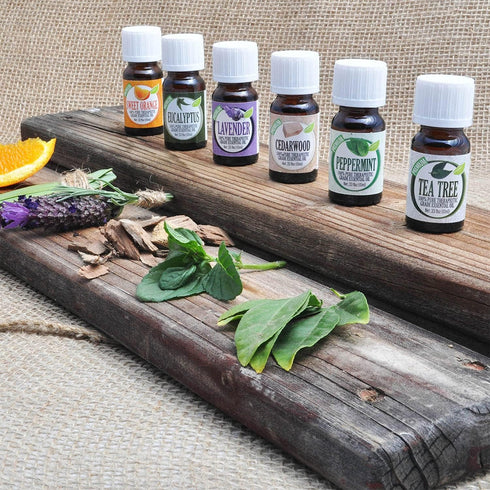 Healing Solutions Eucalyptus Essential Oil 10ml - 0.33 Fluid Ounces