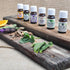 Healing Solutions Eucalyptus Essential Oil 10ml - 0.33 Fluid Ounces