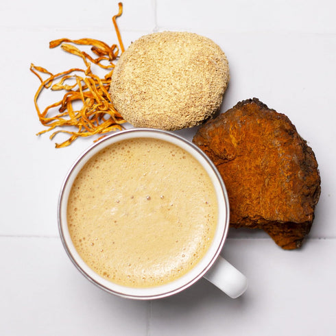 Laird Superfood Organic Performance Mushroom Blend, Chaga, Cordyceps, Lion's Mane, Maitake for Energy, 3.17 oz Bag