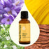 Plant Therapy Worry Free Essential Oil Blend, 30 mL (1 oz), 100% Pure, Natural Aromatherapy