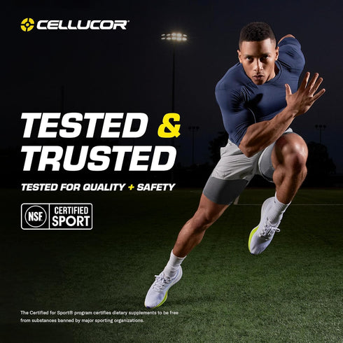 Cellucor BCAA Sport Powder, Sports Drink for Hydration & Recovery, Cherry Limeade, 30 Servings