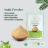 Organic Amla Powder Herbal Supplement - Indian Gooseberry for Detox, Immunity, Hair Growth, 100% Natural (100g)