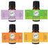 Wild Essentials Greek Key Necklace Essential Oil Diffuser Kit, 12 Refill Pads, Lavender, Lemongrass, Peppermint, Orange