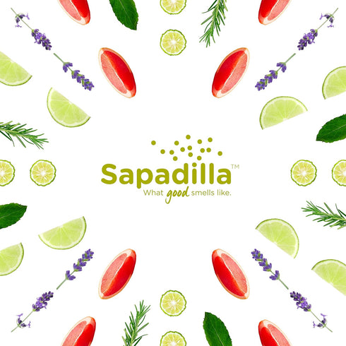 Sapadilla Multi-Surface Countertop Spray - Sweet Lavender + Lime, 16 Ounce (Pack of 2), Plant-Based Cleaner