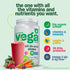 Vega Organic All-in-One Vegan Protein Powder, Chocolate - Superfood Ingredients, Vitamins for Immunity Support, Keto