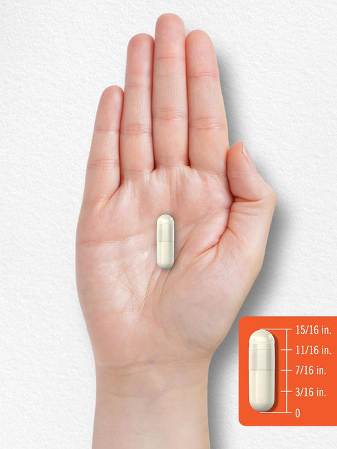 Carlyle Prebiotic & Probiotic | 25 Billion CFU | 60 Capsules | Vegetarian, Non-GMO & Gluten Free for Women & Men