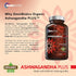 OmniBiotics Organic Ashwagandha Supplement – 1300mg Total Strength, 120 Vegan Capsules for Stress Relief