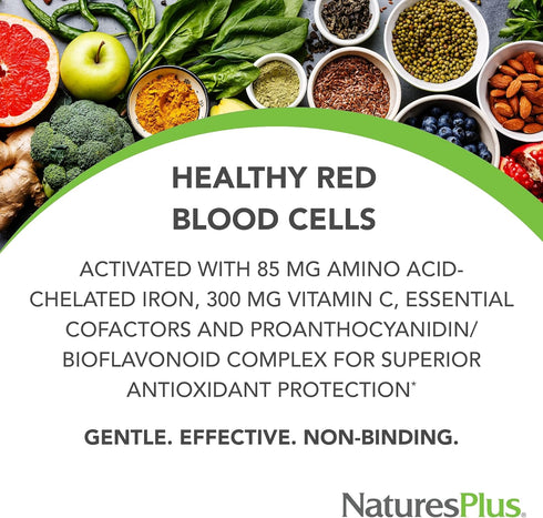 NaturesPlus Hema-Plex Iron - 30 Slow-Release Tablets, Pack of 2-85 mg Elemental Iron + Vitamin C & Bioflavonoids for Healthy Red Blood Cells - Vegan, Gluten Free - 60 Total Servings