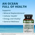 NutraMedix Deep Ocean Trace Minerals 1,000mg - Mineral & Energy Supplements for Electrolyte Support (60 Capsules)