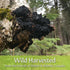 Maine Chaga & Wild Blueberry Tea Powder - Herbal Superfood Blend, 1.5oz, Caffeine-Free, 200+ Servings
