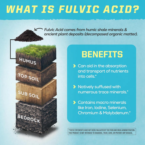 Fulvic Acid Trace Minerals Drops Supplement - Organic Liquid Mineral Water Drops, Vegan, 32 Fl Oz by Sunwarrior