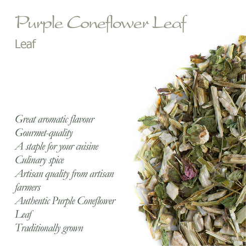 Immunity Purple Coneflower Herb Echenecia Tea - Support Tea - Echinacea Tea Coneflower Tea Echinacea Herb Purple Tea