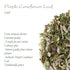Immunity Purple Coneflower Herb Echenecia Tea - Support Tea - Echinacea Tea Coneflower Tea Echinacea Herb Purple Tea