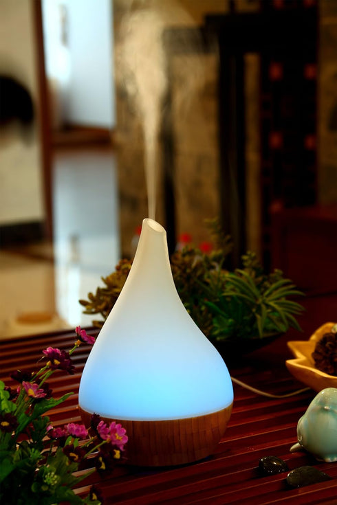 SA-110: SPT Ultrasonic Aroma Diffuser/Humidifier