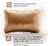 Septic Tank Treatment - 1 Year Supply of Dissolvable Easy Flush Live Bacteria Packets, 12 Count