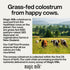 Immunity 20 Magic Milk | Colostrum | Supports Gut Health & Bloating | Hair, Skin, & Nails | & Muscle Recovery | Grass