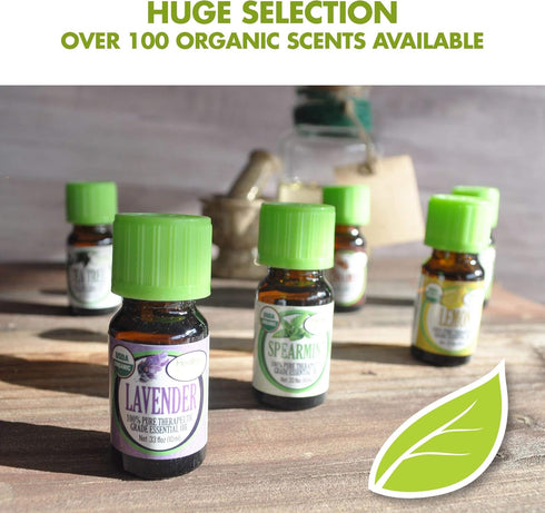 Healing Solutions Organic Cinnamon Cassia Essential Oil 60ml - 2 Fluid Ounces for Aromatherapy and Therapeutic Use.