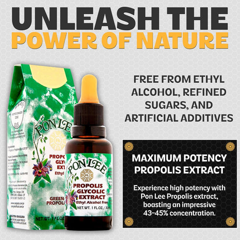 Pon Lee Brazil Green Bee Propolis Liquid Extract, No Alcohol, 30ML, 1 Pack