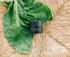 Organic Comfrey Salve