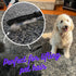 Room Groom PET Carpet Rake and Groomer with Adjustable 54" Handle, Pack of 2 for Rugs and Turf