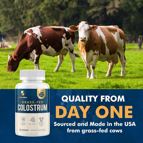 Colostrum Supplement | 2 Month Supply | Grass Fed Bovine Colostrum Powder Capsules