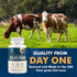 Colostrum Supplement | 2 Month Supply | Grass Fed Bovine Colostrum Powder Capsules