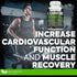DR. MARTIN'S NUTRITION Extra Strength L-Carnitine - 200 Capsules - 1000mg Per Serving - Increase Performance & Boost