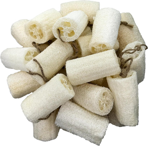 4" Plant Sponge, 100% Natural Loofah Dish Sponges, 24 Pack, Kitchen Scrubber Loofahs