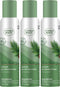Citrus Magic 3-Ounce Holiday Odor Eliminating Air Freshener Spray, Pack of 3