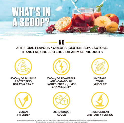 Ambrosia Hydroglyph Intraworkout Formula - BCAA + EAA + Electrolytes Hydration Powder, 0g Sugar (Fruit Punch)