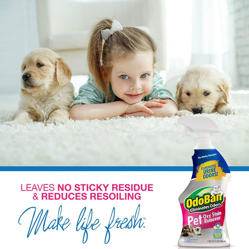 OdoBan Pet Solutions Neutral pH Floor Cleaner Concentrate, 1 Gallon & Oxy Stain Remover 32 Ounce Spray