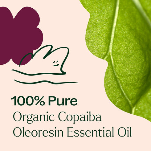 Plant Therapy Copaiba Oleoresin Organic Essential Oil 100% Pure, Natural Aromatherapy, 30 mL (1 oz)