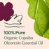Plant Therapy Copaiba Oleoresin Organic Essential Oil 100% Pure, Natural Aromatherapy, 30 mL (1 oz)