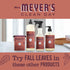 Mrs Meyers Clean Day Dish Soap, Fall Leaves Scent, 16 Fl Oz