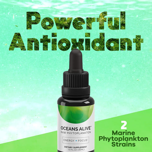 Chlorophyll Algae Supplement by Activation Products - Marine Phytoplankton, 1 Month Supply, 30 ml