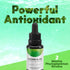 Chlorophyll Algae Supplement by Activation Products - Marine Phytoplankton, 1 Month Supply, 30 ml