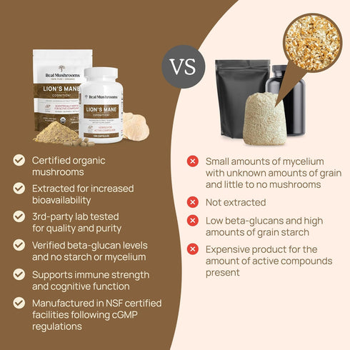 Lion’s Mane Powder - Organic Mushroom Extract with Antioxidants & Immunomodulating Properties - Vegan Supplement, 60