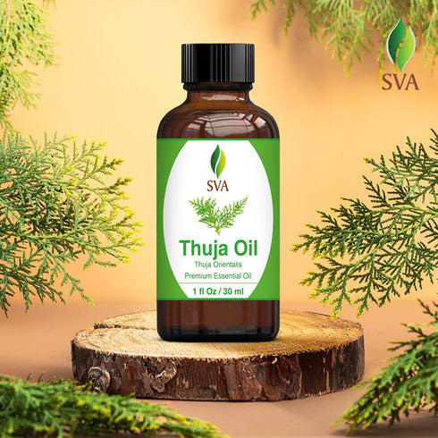 SVA Thuja Essential Oil, 1 Fl Oz, 100% Natural for Aromatherapy, Skin Care, Soap Making