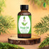 SVA Thuja Essential Oil, 1 Fl Oz, 100% Natural for Aromatherapy, Skin Care, Soap Making