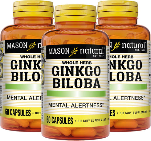 MASON NATURAL Ginkgo Biloba Herbal Supplement, 60 Capsules (Pack of 3) - Improve Mental Alertness & Brain Function