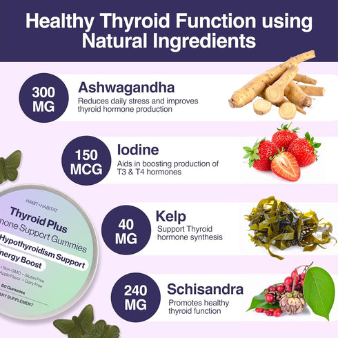 Thyroid Plus Gummies with Ashwagandha, Iodine, Bladderwrack, Kelp, and Schisandra