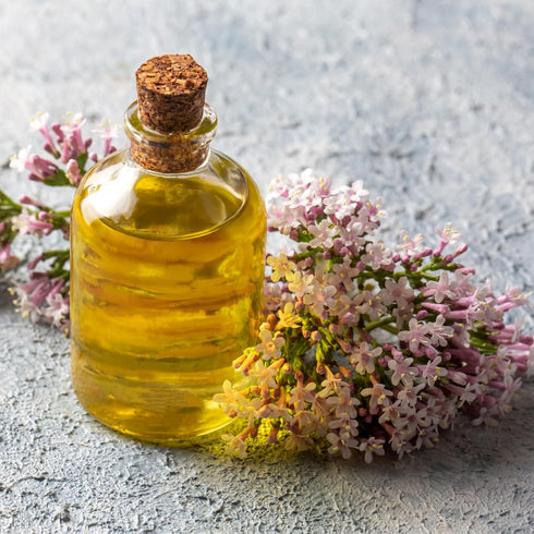 Essences Bulgaria Organic Valerian Essential Oil 0.17 Fl Oz | 5ml | 100% Pure for Sleep, Relaxation, Stress Relief