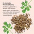 Botanic Choice Parsley Seed Oil, 60 Softgels - Bad Breath Odor Neutralizer from Within, Breath Freshener Gels