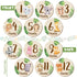 Wooden Baby Monthly Milestone Cards Double Sided Baby Birth Announcement Sign, Hello World Milestone Sign Discs