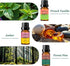 Set 6x10ML WOODSHOP Fragrance Essential Oil - French Vanilla, Amber, Forest Pine, Fresh Cotton, Fresh Cut Grass
