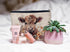 Highland Cow Gifts Makeup Bag, Western Cow Print Cosmetic Bag for Women