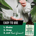 360 Nutrition Matcha Chlorophyll Liquid Drops - Gluten Free & Vegan Supplement for Gut Health, 60 Servings