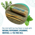 Preserve Toothpicks, Natural Mint Tea Tree Flavored for Fresh Breath, Sustainably Harvested Birch Wood - 3 Travel Cases