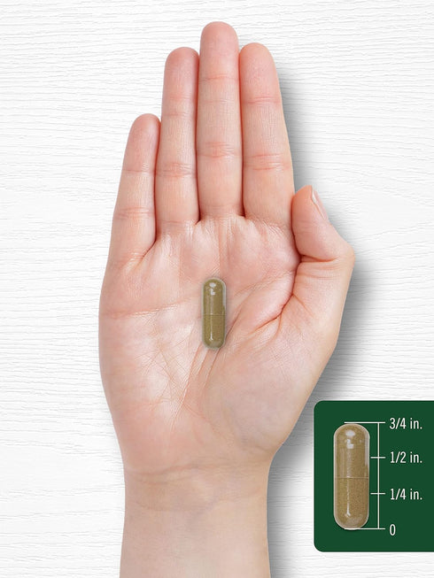 Carlyle Dandelion Root Supplement | 1800mg | 300 Capsules | Non-GMO, Gluten Free