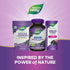 Nature’s Way Sambucus Zero Sugar Immune Gummies, 70 Gummies - Black Elderberry Extract, Vitamin C, D3, Zinc